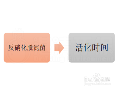 反硝化高效脱氮菌怎么辨别其性能的优良