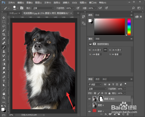 PS怎么扣动物毛发