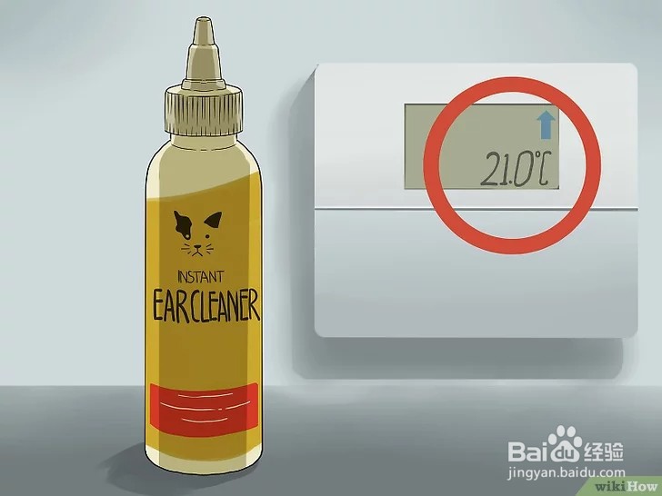 怎么清洁猫咪的耳朵