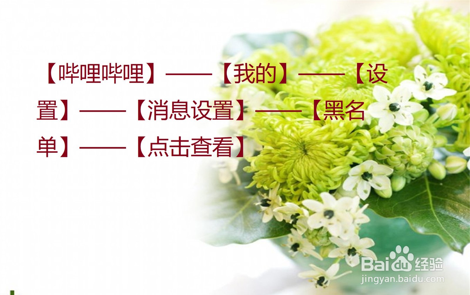 哔哩哔哩怎么查看自己添加的黑名单？