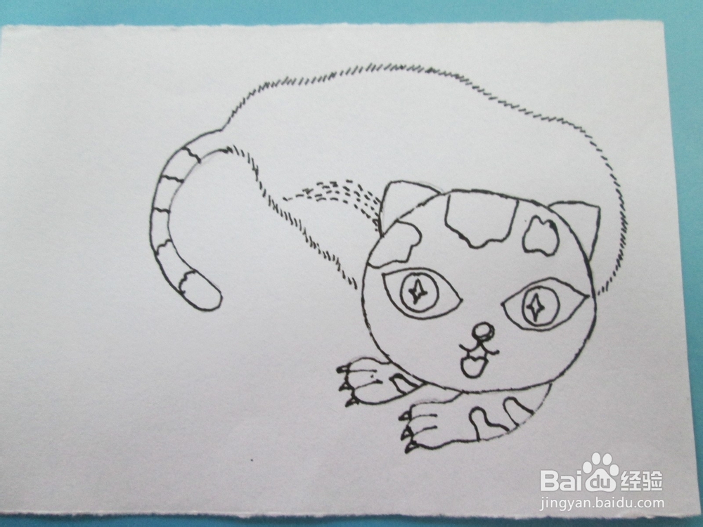黑白线描画《猫咪》的作画步骤