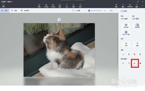 游戏/数码 电脑 > 电脑软件5 点击镜面转换,保存完成图片镜面转换.