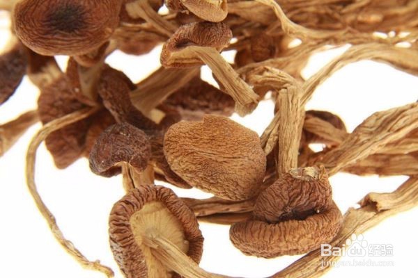 适合做菌菇汤的蘑菇有哪些