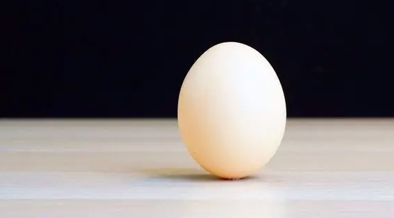 玉子是什么食物呢