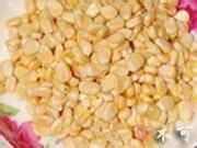 怎么做肉末小馄饨