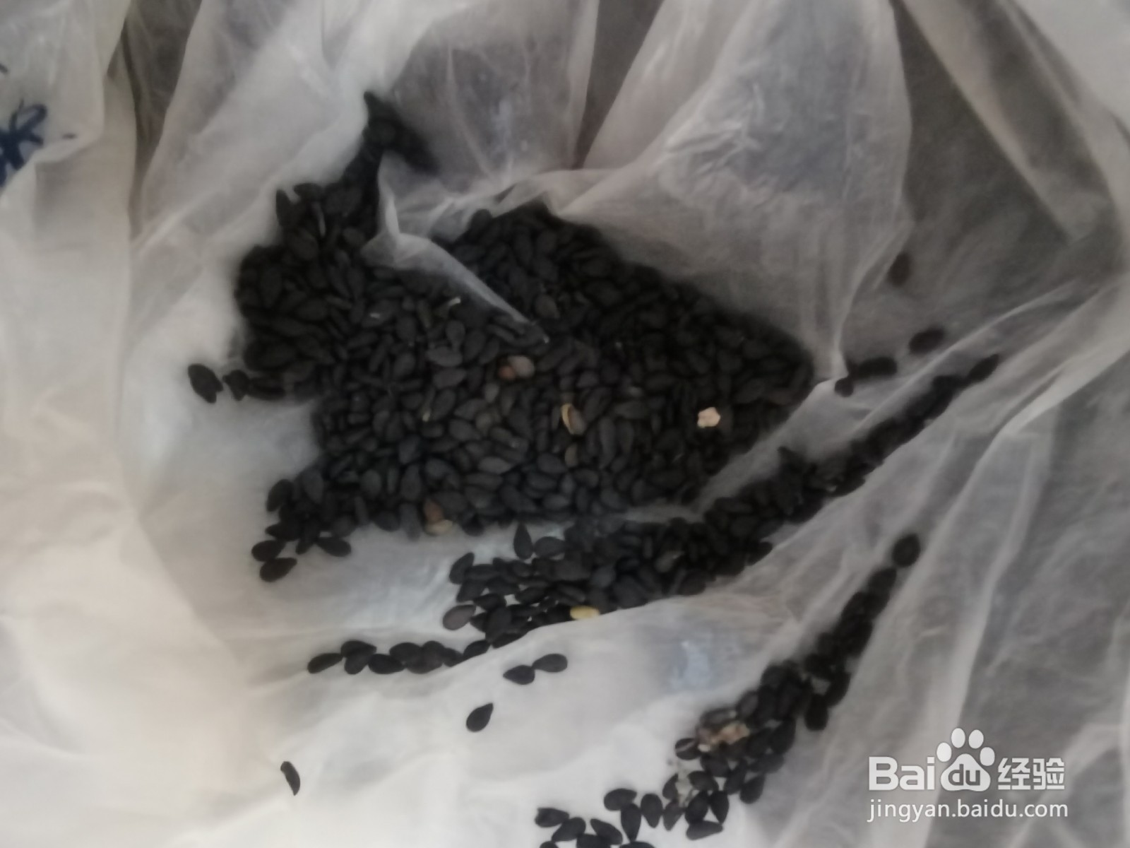 家常香辣炸豆腐