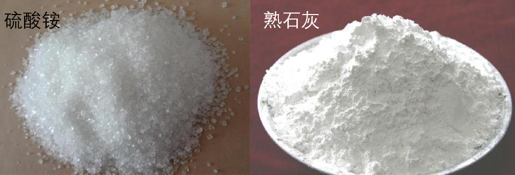 为什么不将硫酸铵与熟石灰混合使用