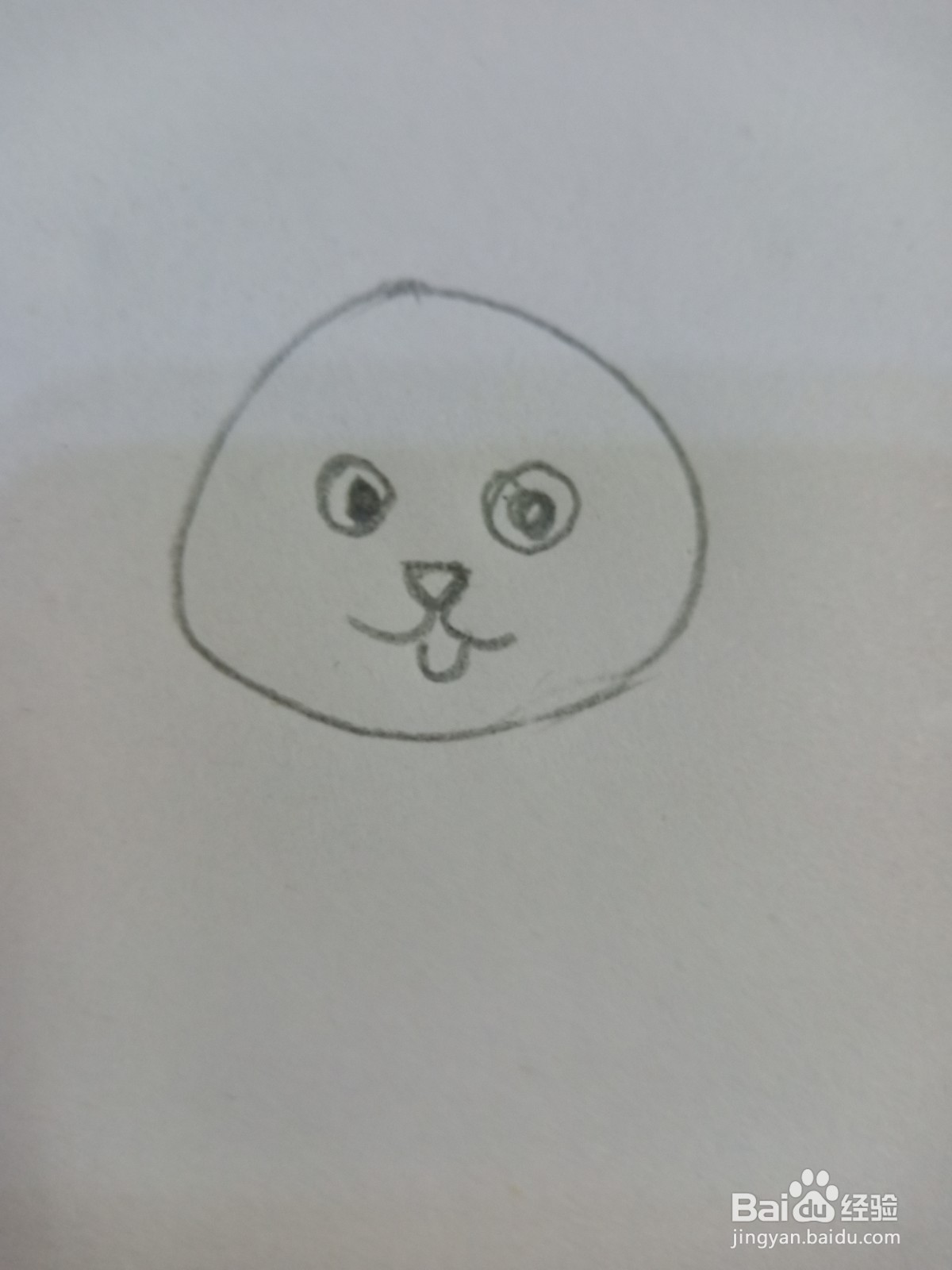 带铃铛小猫的简笔画