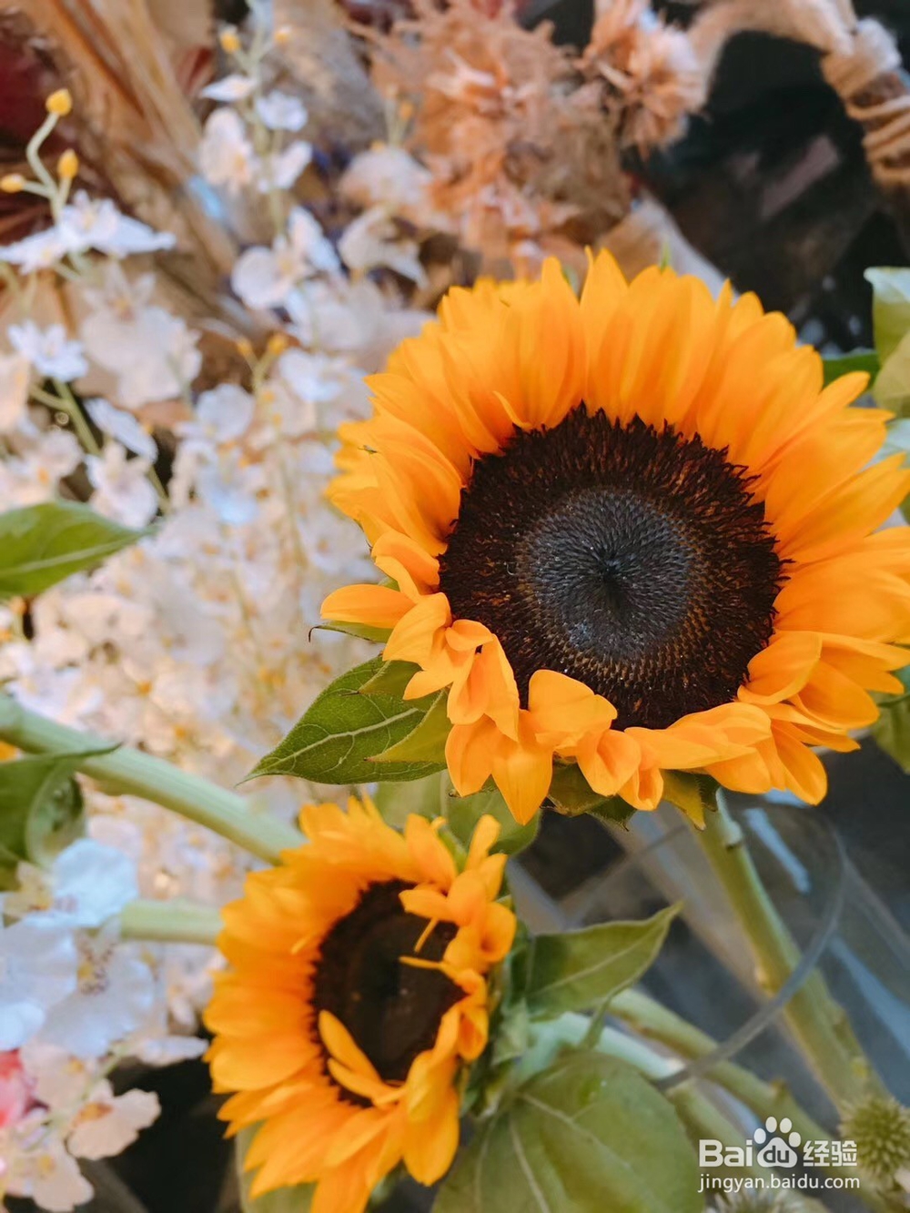 怎么去孝顺父母