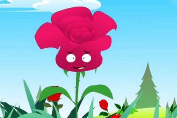 从《蜗牛与玫瑰树》中,悟到了什么人生道理