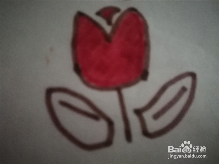 怎么样用简笔画画花朵