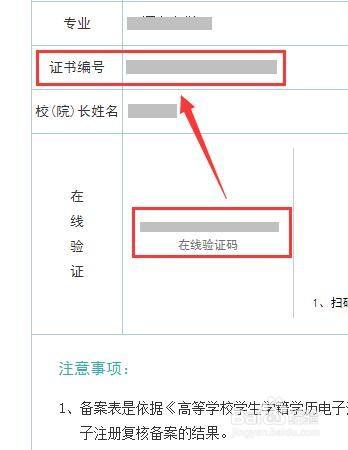 怎么查询自己的学历验证报告编号