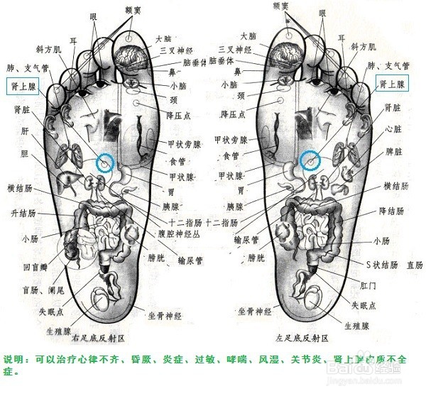 人到中年脱发怎么办