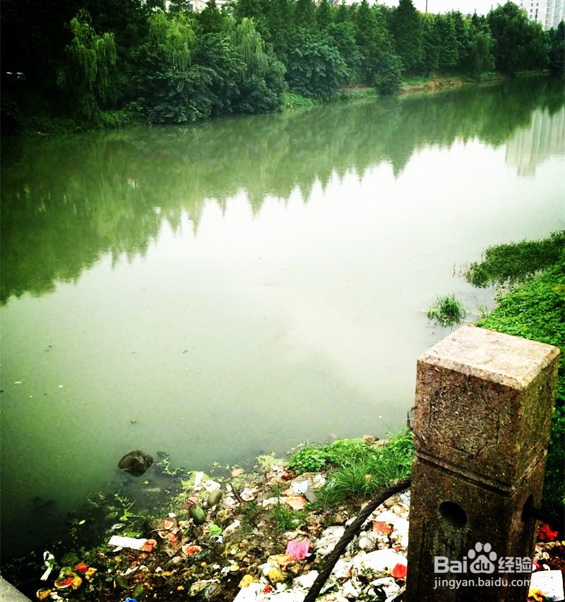 保卫绿水青山,我们应该怎么做?