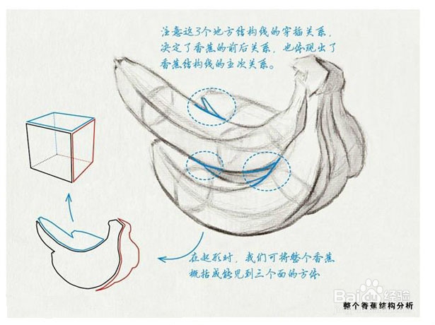 如何画香蕉、水果刀、老虎钳、青菜、布娃娃素描
