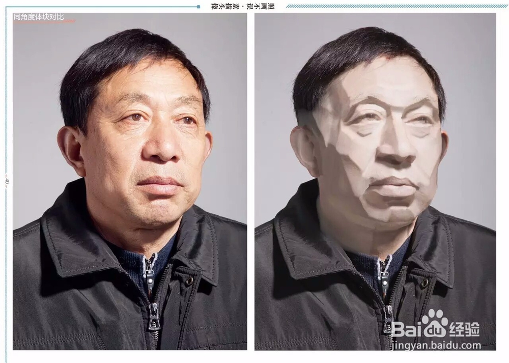 求讲解素描头像结构