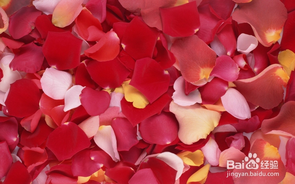 如何制作便宜好用的爽肤水