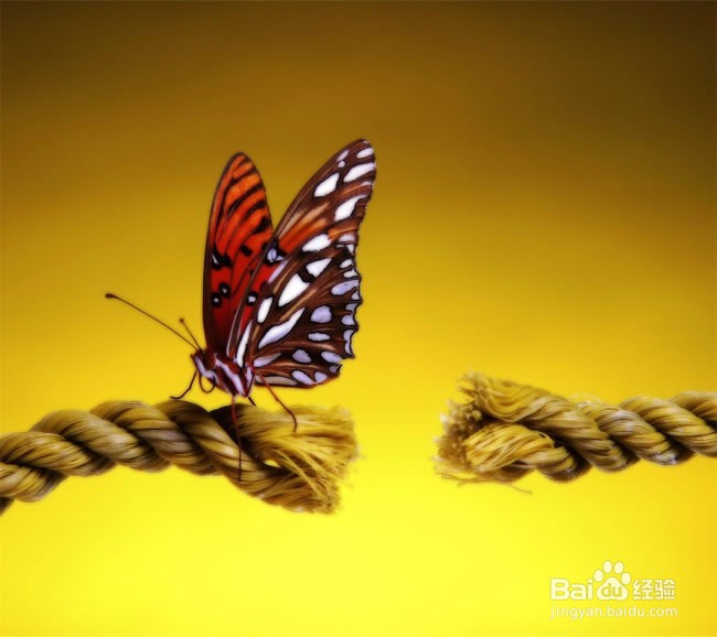 我其实没有那么坚强