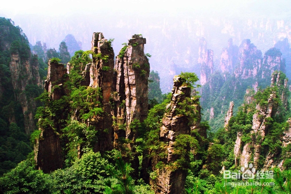 4天张家界自助游步行在大山深处