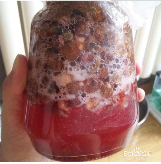 葡萄酒的发酵机制是如何的
