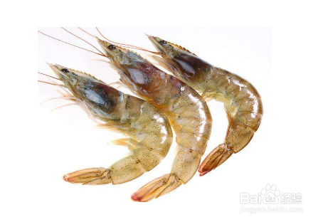 适合冬天吃的海鲜有哪些