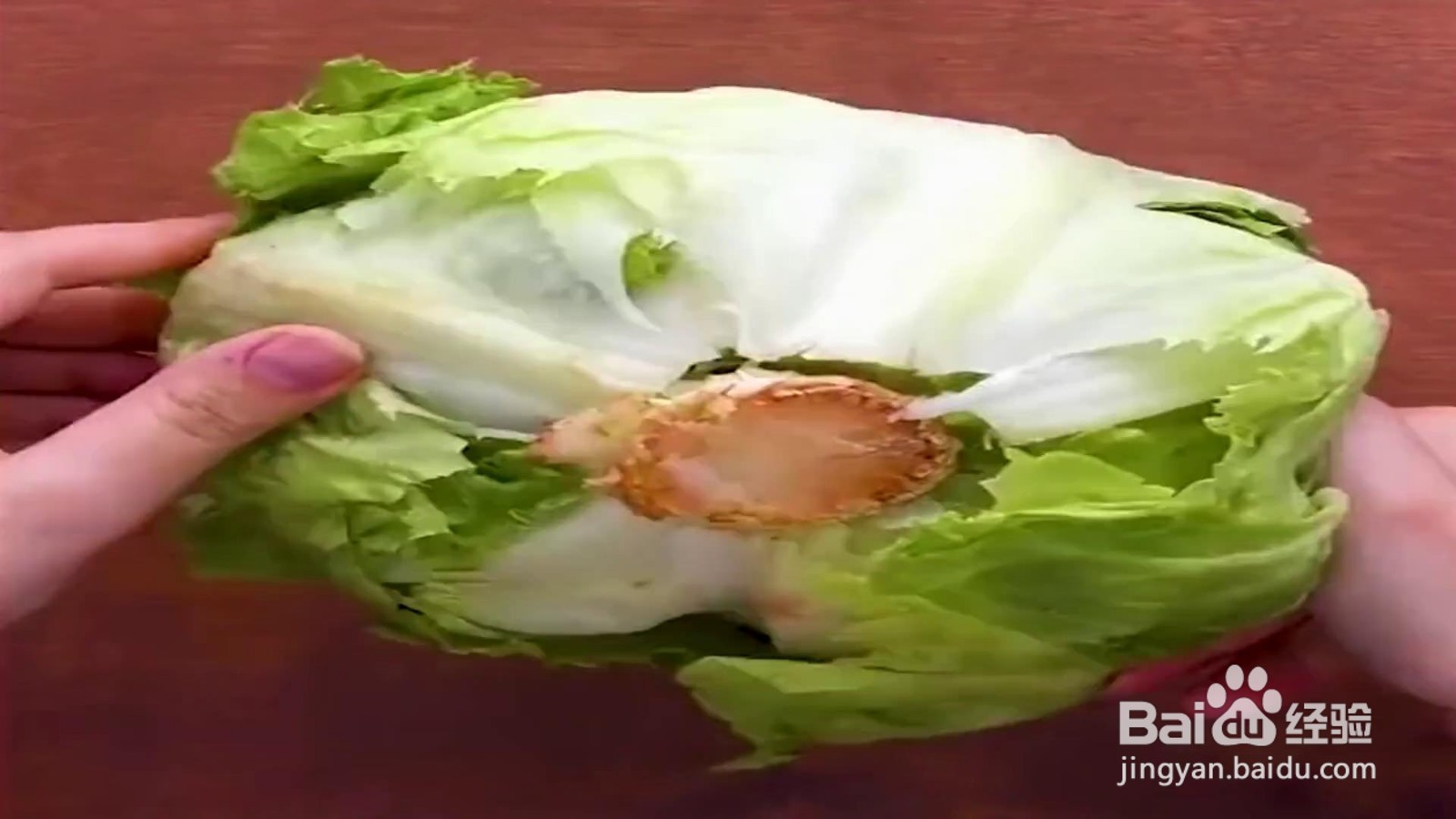 如何快速的掰开大头菜