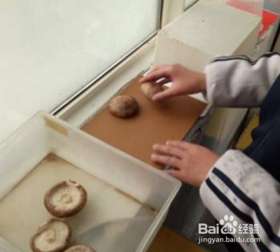 孢子印的制作？