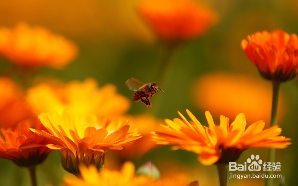 怎么成为一个受欢迎的人？