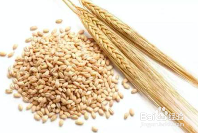 9种食物最有效助胃消化