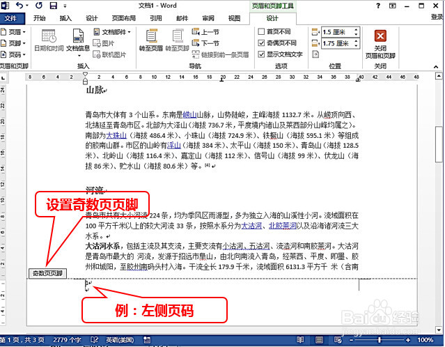 WORD设置格式不同的奇偶页页码方法