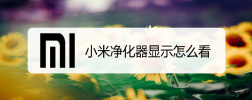 小米净化器显示怎么看