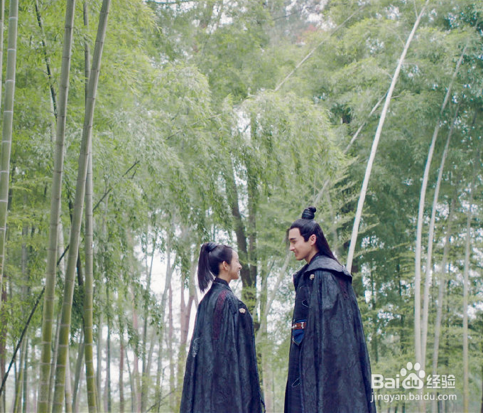 有哪些小众但是很好看的网剧