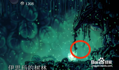空洞骑士酸水免疫怎么得?