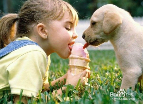 吃雪糕的正确姿势,我怎么越吃越热呢?