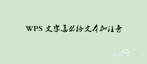 WPS文字怎么给文本加注音