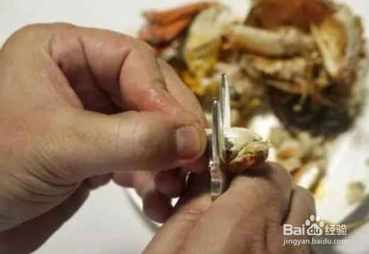 秋季去华东怎么吃大闸蟹