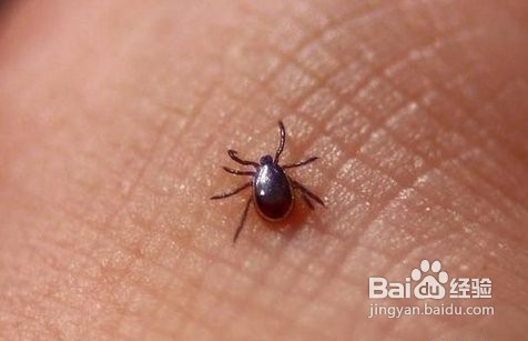 春季如何防止过敏性皮炎