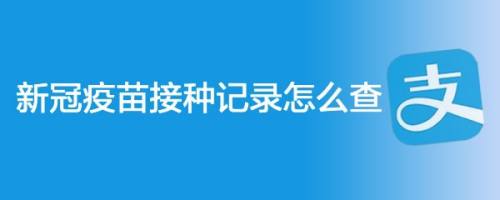 新冠疫苗接种记录怎么查