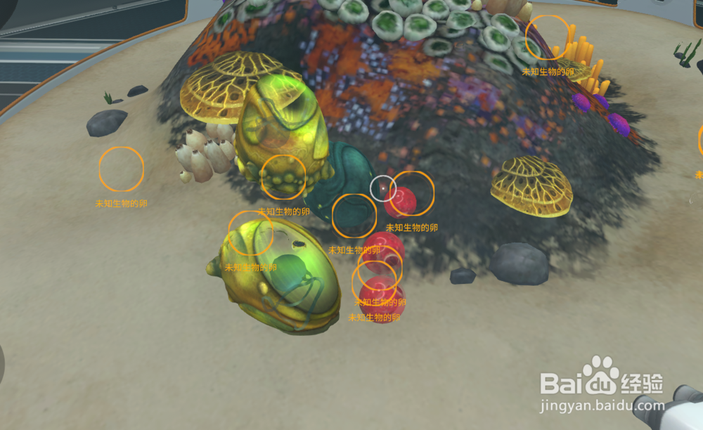 深海迷航怎么孵蛋