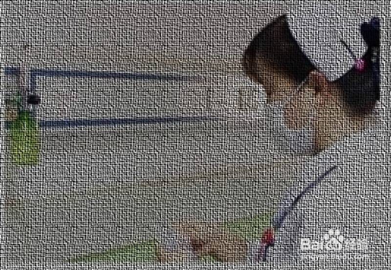 新生婴儿怎样戴头面罩吸氧