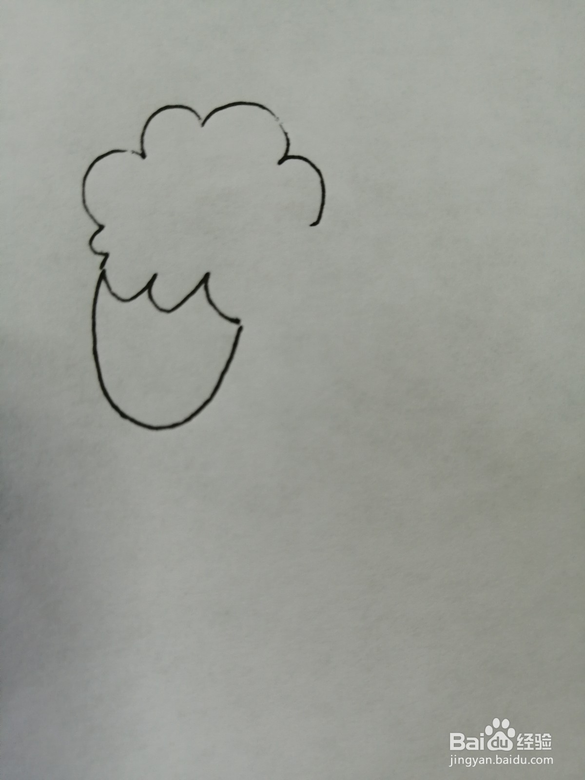 可爱的小绵羊怎么画