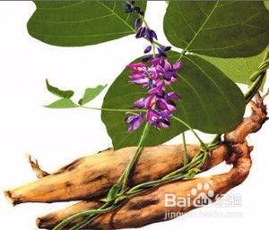 男人吃哪些食物会越来越强壮
