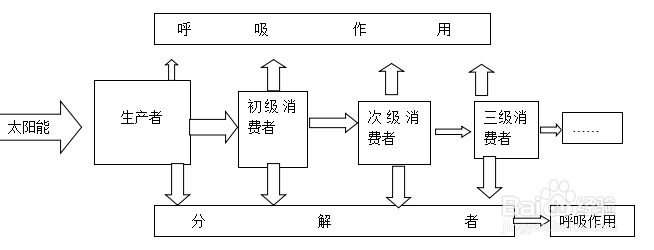 高中生物学习方法：[26]生态系统及其重要性2