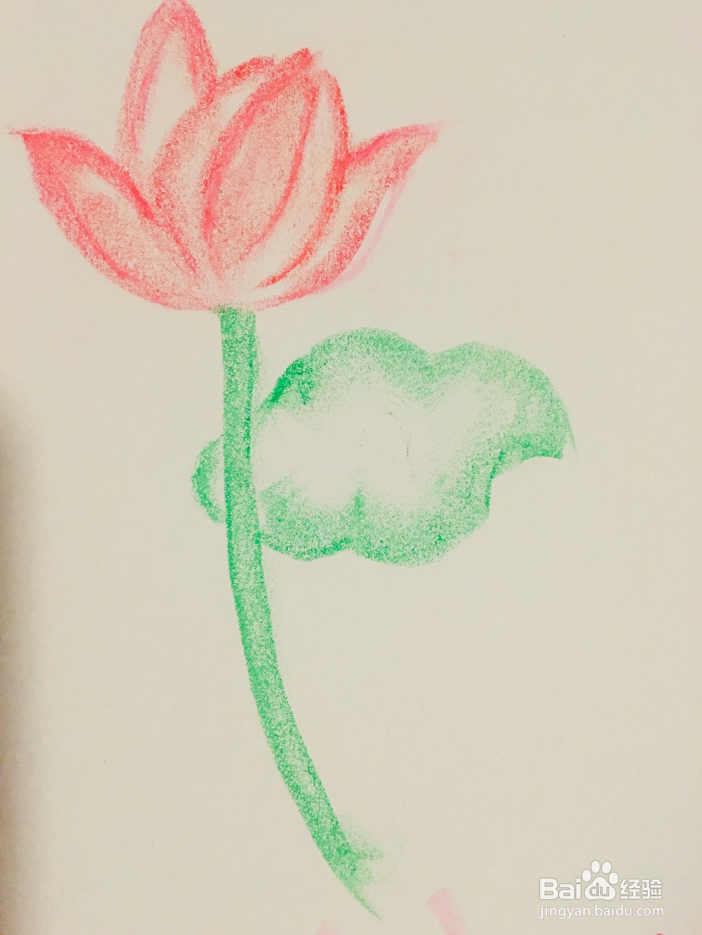 怎样用油画棒画荷花？