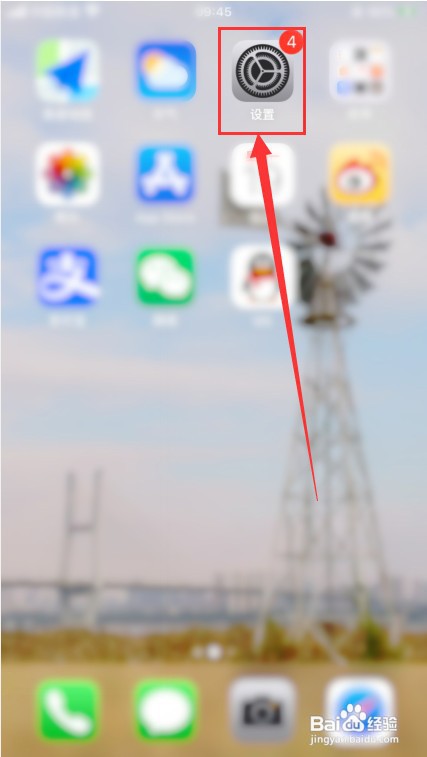 苹果手机怎么开启低数据模式？