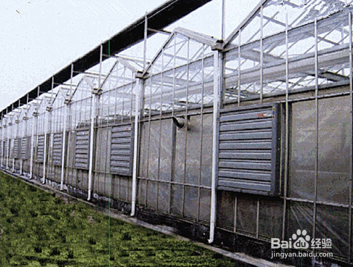 怎么给温室大棚通风？