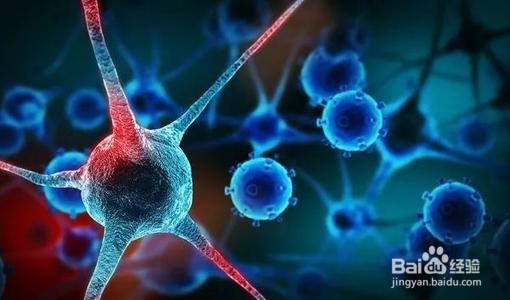 红枣的营养价值与功效作用