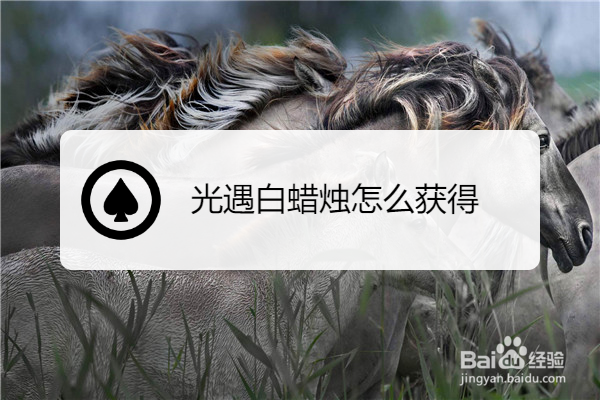 光遇白蜡烛怎么获得