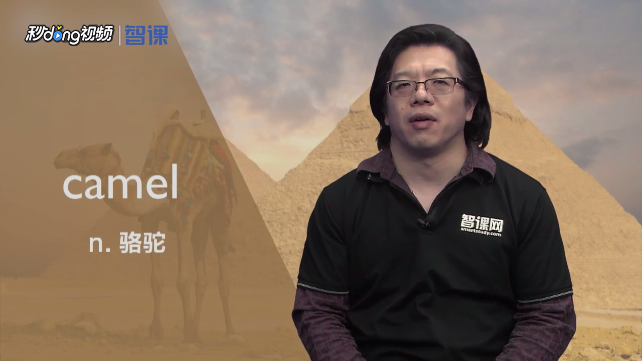 单词camel是什么意思