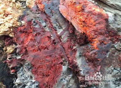 顶级小叶紫檀什么样